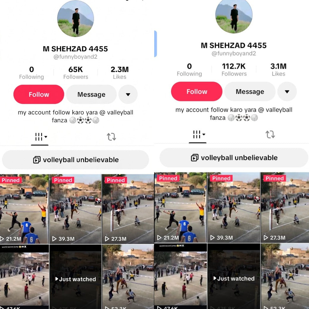 Premium TikTok Followers Servic - Boost Your Profile