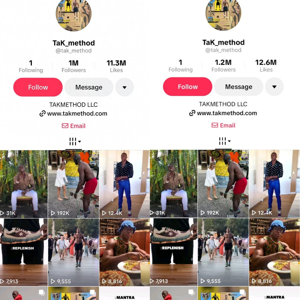 Premium TikTok Followers Servic - Boost Your Profile